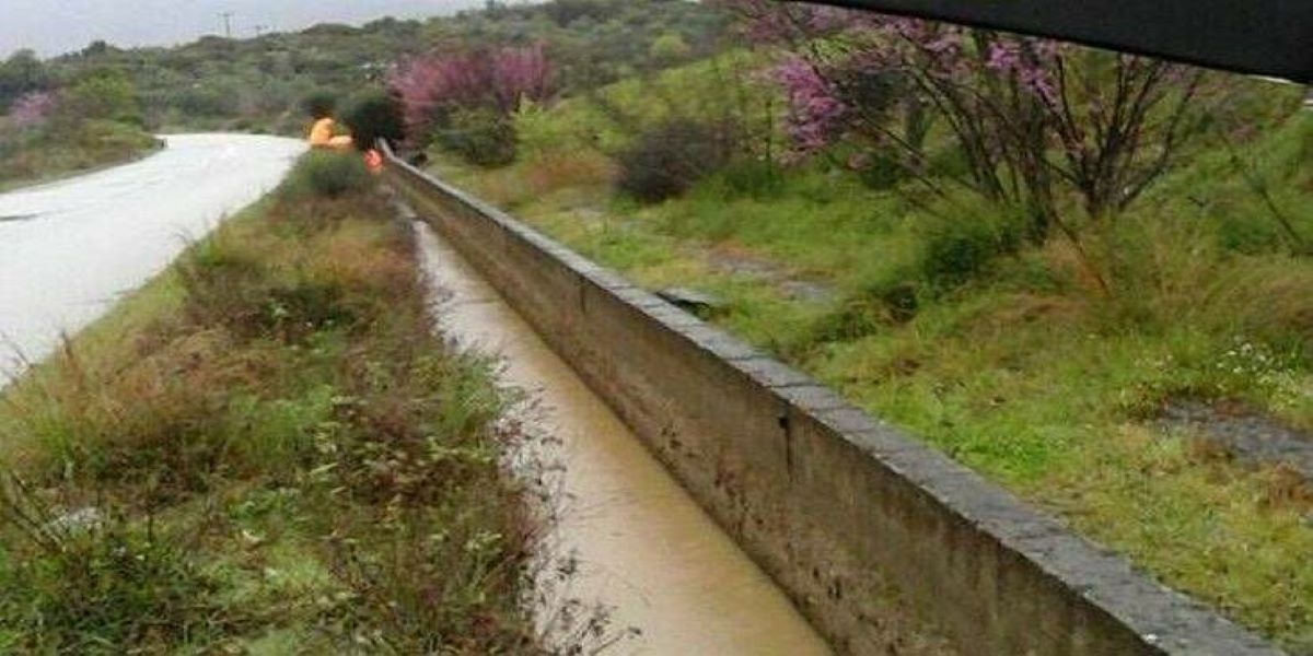 Φθιώτιδα: Πυροσβέστες έσωσαν από πνιγμό δύο αδέσποτα σκυλάκια (φώτο)