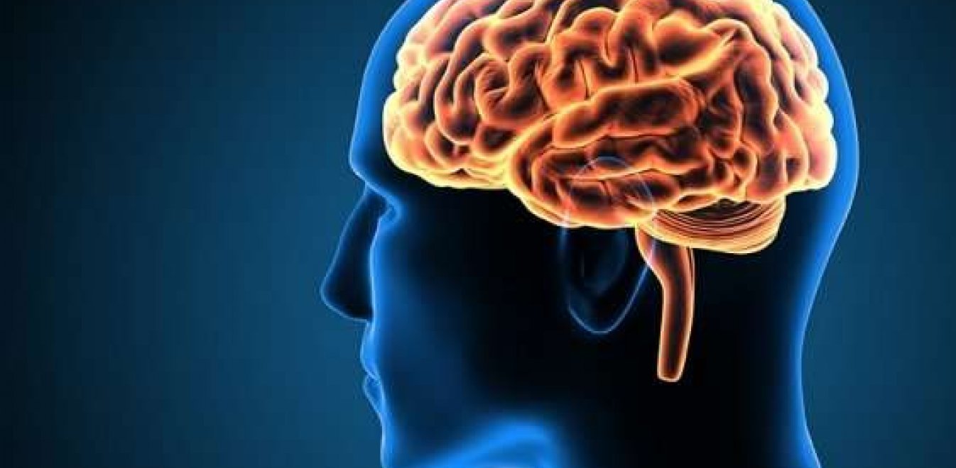 Έρευνα: Ο εγκέφαλος και η συνείδηση λειτουργούν και μετά τον θάνατο