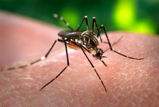 “Επενδύουμε στο μέλλον: Νικάμε την ελονοσία”