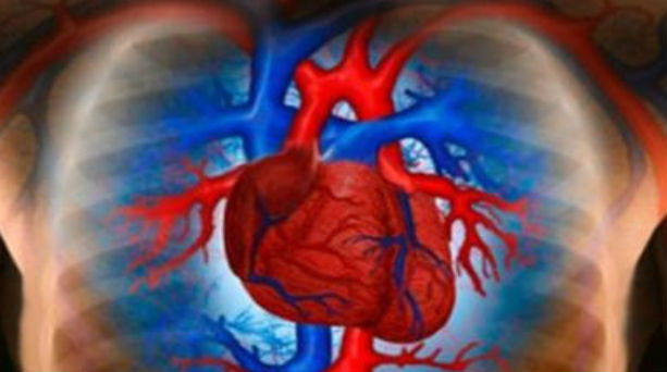 Αλγόριθμος του ΜΙΤ μετρά τους καρδιακούς παλμούς βάσει video