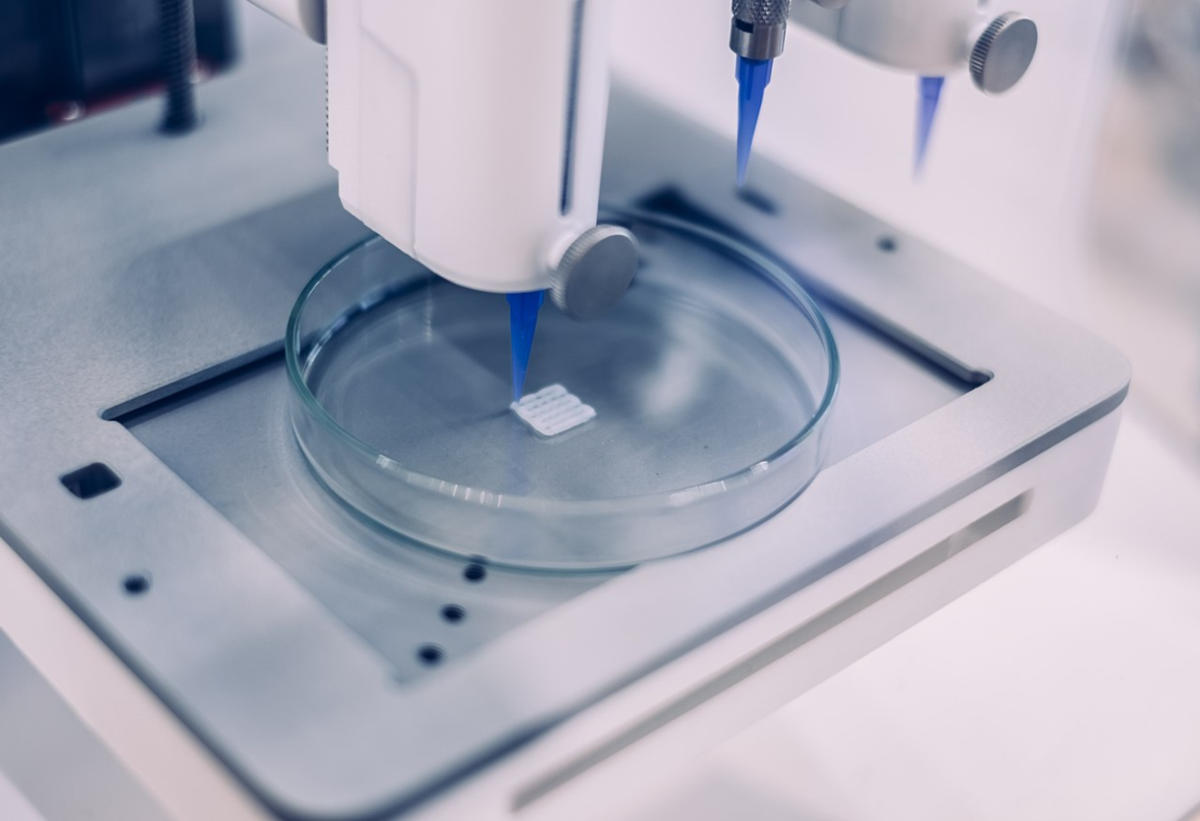 Τι είναι η Βιοεκτύπωση (Bioprinting) και πού μπορεί να χρησιμοποιηθεί;