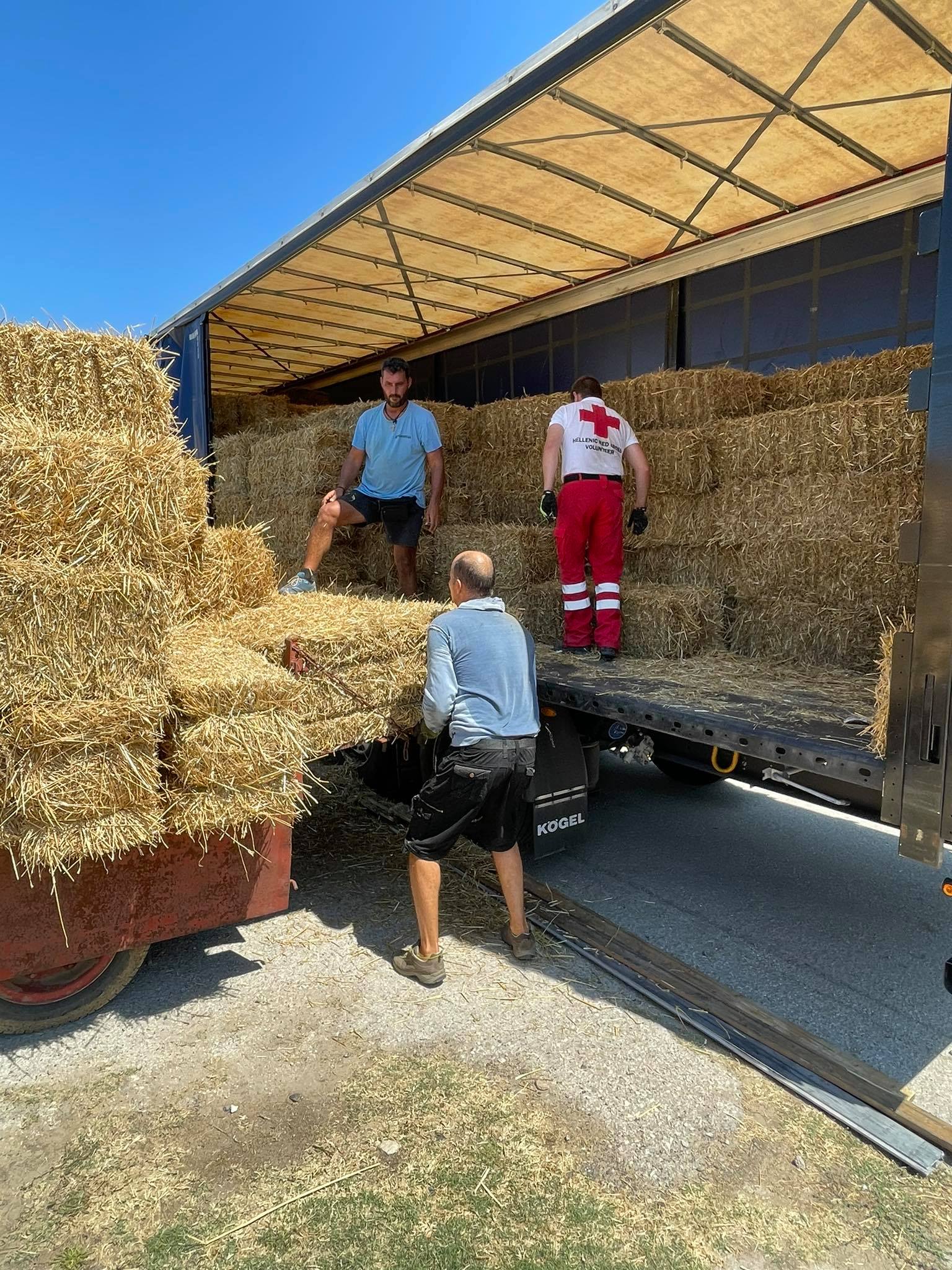 Διανομή μεγάλης ποσότητας ζωοτροφών από τον Ε.Ε.Σ. στις πυρόπληκτες περιοχές της Β. Εύβοιας