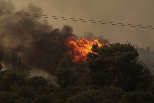 Ένωση Πνευμονολόγων: Τι πρέπει να γνωρίζουν όσοι είναι κοντά σε φωτιές