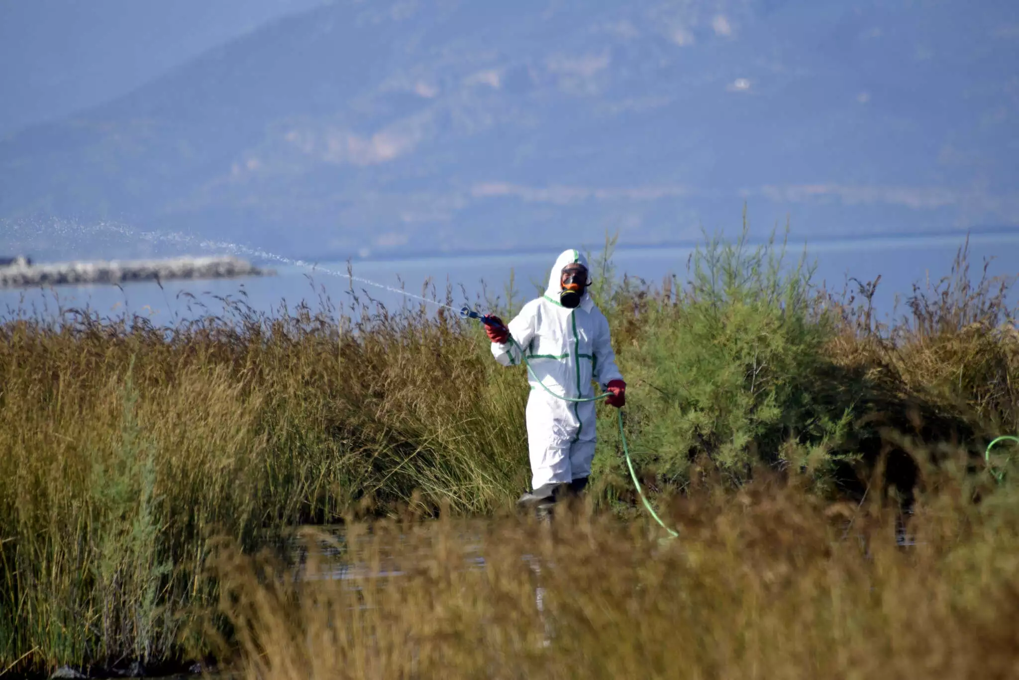 Σε έξαρση ο ιός του Δυτικού Νείλου – «Προφυλαχθείτε από τα κουνούπια» λέει ο ΕΟΔΥ